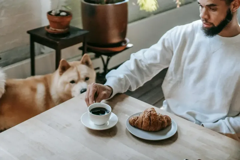 Alimentos prohibidos para perros: lo que nunca debes darles