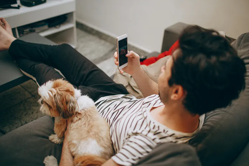 Tecnología para mascotas 2026: lo que funciona de verdad